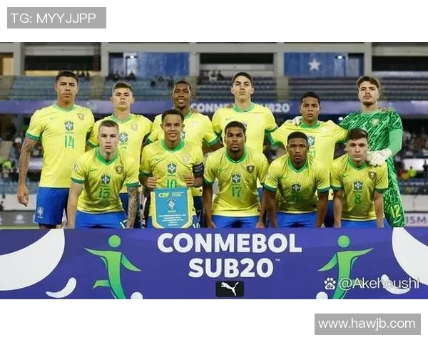 2015年巴西阿根廷对决回顾：经典之战与足球传奇的交汇