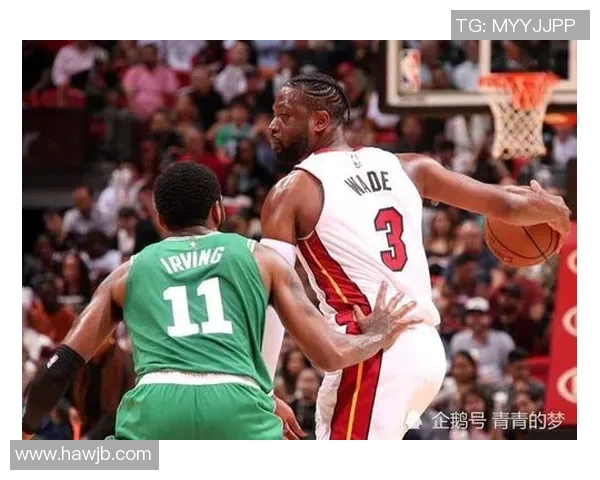 欧文与韦德经典对决视频集锦回顾精彩瞬间与巅峰时刻