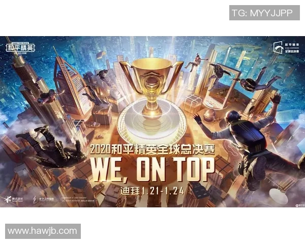 沈阳城市与河北精英的对决：谁能在未来发展中占据优势