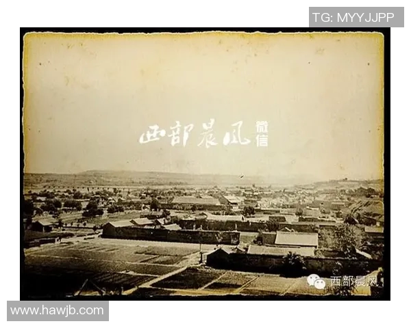 李禄的传奇人生与历史影响探讨:从文人到政治家的转变与成就