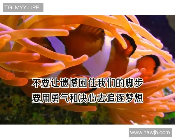 史鸿飞的传奇人生与不屈奋斗精神启示我们追求梦想的勇气与决心