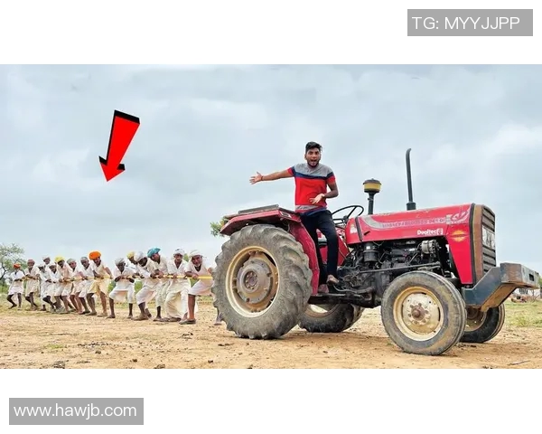 拖拉机与加拉法的较量：谁能在现代农业中胜出