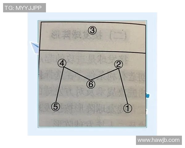 西安排球队运营打法深度解析与战术布局探讨