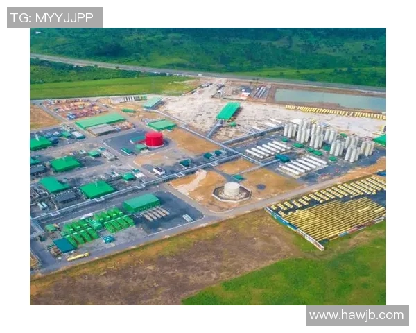 LNG在世界冠军杯中的战术表现分析与点评