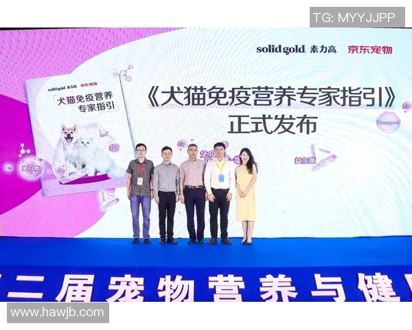 深度对话：周磊如何在网球世界中追寻梦想与成长