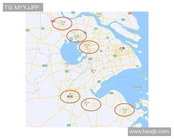 杭州乒乓球队在城市联赛中的表现分析与状态评估